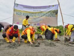 Gubernur Rohidin Tanam Belasan Ribu Bibit Mangrove di Kampung Jenggalu Kito