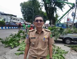 Pohon Besar Berusia Puluhan Tahun Dipangkas DLH Kota Bengkulu
