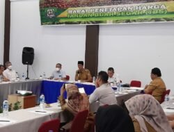 Naik, Harga TBS Kelapa Sawit Periode Minggu Ke-2 November 2022