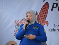 Bengkulu Berpotensi Tsunami, Senator Riri Minta Pemerintah Serius