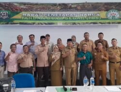 Ini Harga Terbaru TBS Kelapa Sawit Bengkulu, Periode Ke II Januari