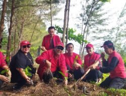 HUT Megawati, PDIP Bengkulu Lakukan Penghijauan Tanam 3500 Pohon