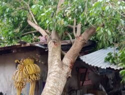 Cuaca Bengkulu Saat Ini Angin Kencang dan Badai Akibat Terdampak Siklon Tropis Freddy