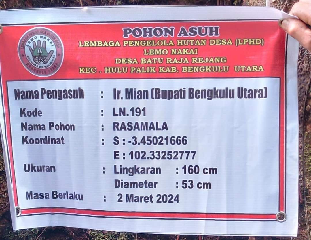 Pohon asuh Bupati Mian. Foto - ist Radar Informasi News.Com