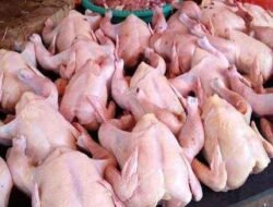 Jelang Puasa Ramadhan 1444 H, Harga Ayam Potong Masih Stabil Rp 28 Ribu