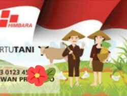 60 Ribu Petani di Bengkulu Sudah Punya Kartu Tani