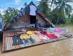 Banjir Musi Rawas Meluas, Sebanyak 8.227 Jiwa Terdampak