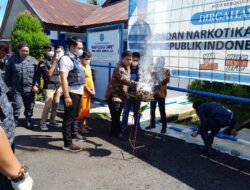 BNN Kota Musnahkan BB Narkotika Golongan I Jenis Ganja