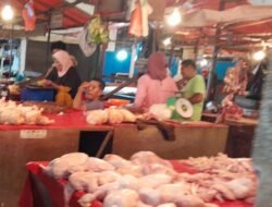 H – 1 Lebaran, Harga Daging Ayam Potong Meroket Rp. 36 Ribu Per Kg