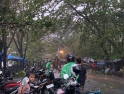 Kenali Cuaca dan Iklim, Demi Keselamatan Bersama
