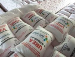 Penyaluran Pupuk Bersubsidi Dalam Kondisi Aman Dan Diawasi Ketat Ombudsman