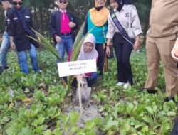 Kukerta Tahun 2023 Tuntas, STIA Bengkulu Tanam 1000 Pohon