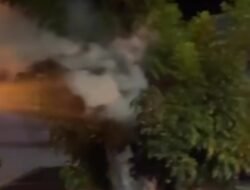 Ajaib Pohon Besar di Depan Unihaz Keluarkan Kepulan Asap Sendiri