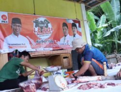 Idul Adha 1444 H, PKS Bengkulu Kurban Tiga Ekor Sapi
