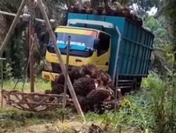 Aturan Kementan, Dinas TPHP Warning Petani Sawit Pakai Pupuk Subsidi