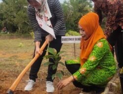 Penanaman Bibit Produktif 2023, Di Seluma PLT Dinas TPHP Provinsi Ikut Tanam Bibit