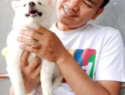 Peringati Hari Rabies Sedunia, 8 Oktober Vaksinasi Rabies Gratis