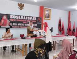 Elva Hartati Kembali Sosialisasikan Empat Konsensus Kebangsaan