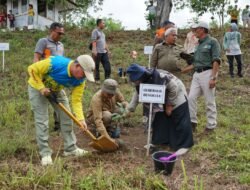 Tingkat Kerusakan Hutan Bengkulu Tinggi, Gubernur Rohidin Ajak Masyarakat Lakukan Rehabilitasi