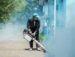 Fogging Bukan Solusi Utama Atasi DBD, Dinkes Kota Ajak Masyarakat Benģkulu Jaga Kebersihan Lingkungan