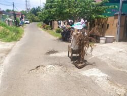 Dewan Provinsi Bengkulu Dapil Kota Soroti Jalan Kel. Tengah Padang Ditanami Pohon Kering