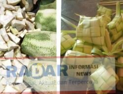 Ingin Masak Lontong Untuk Lebaran?, Ini Harga Ketupat dan Nangka di Benģkulu?
