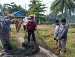 Pemprov Bagikan 3 Ton Ikan Bandeng Gratis Untuk Warga Kota Bengkulu, Catat Jadwalnya