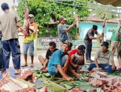 Idul Adha 1445 H, Mesjid Awaluddin Potong Lima Ekor Hewan Kurban