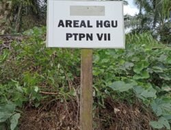 Besok AMAN Tana Serawai Kabupaten Seluma Musda, Pilih Ketua Baru