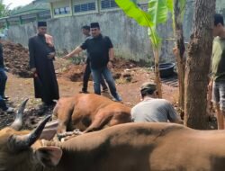 Idul Adha 1445 H, Bank Bengkulu Potong Hewan Kurban