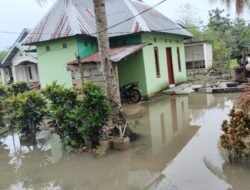 Tiga Kabupaten di Sulawesi Tenggara di Landa Banjir