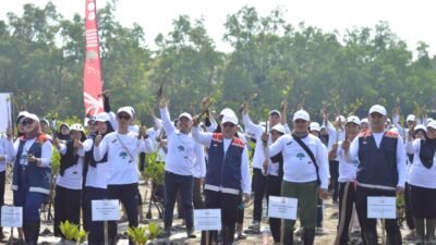 Rehabilitasi Pesisir Pantai Jenggalu Bengkulu, PT HK Tanam Ribuan Mangrove