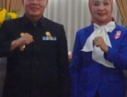 Belum Tentukan Sikap Ke Helmi-Mian, Pilgub Bengkulu NasDem Tunggu Keputusan DPP