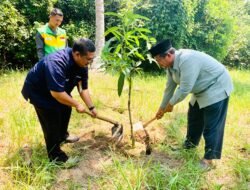 Laksanakan TJSL, Pelindo 2 Regional Bengkulu Tanam Pohon