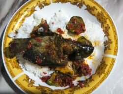 Nikmatnya Sensasi Lezat Sambal Ikan Sepat dan Terung Bulat Khas Bengkulu