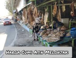 Cuaca Buruk, Harga Cumi Asin di Pasar Ikan Malabero Tembus Rp. 135 Ribu/Kg