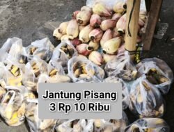 Harga Jantung Pisang 3 Rp 10 Ribu di Bengkulu