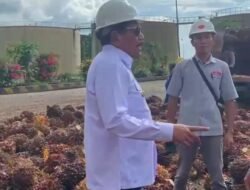 Harga TBS Turun Usai Idulfitri, Wagub Mian Gerak Cepat Sidak PKS