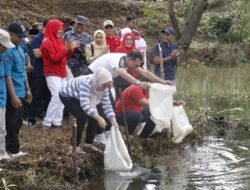 Bupati Seluma Lepas 18.000 Bibit Ikan Dalam Rangka HUT Ke 22 Kabupaten