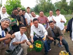 Bersama Bank Indonesia Perwakilan Bengkulu, Wartawan Ekonomi Kunjungi Kebun Jeruk Gerga di Desa IV Suku Menanti RL