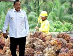 DBH Sawit Provinsi Bengkulu Kecil, Wagub Mian “Ngadu” ke Pusat