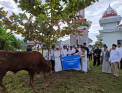 Bupati dan Wabup Serahkan Sapi Kurban Presiden