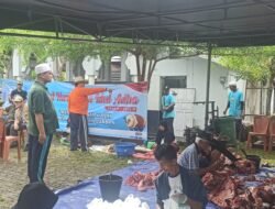 Sapi Hewan Kurban Presiden Prabowo dan Gubernur Bengkulu dipotong, Total 11 Ekor, Mesjid Raya Baitul Izzah Bagikan 1800 Kupon