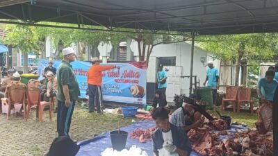 Sapi Hewan Kurban Presiden Prabowo dan Gubernur Bengkulu dipotong, Total 11 Ekor, Mesjid Raya Baitul Izzah Bagikan 1800 Kupon
