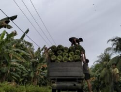 Enggano Krisis Ekonomi, Warga Terpaksa Barter Untuk Penuhi Kebutuhan Sehari – hari