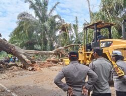 Tebang Pohon Di Liku Sembilan Arus Jalan Lintas Taba Penanjung – Kepahiang Tutup Sementara
