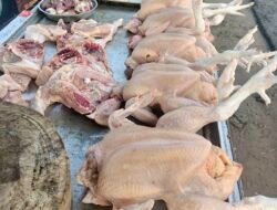Harga Ayam Potong Merangkak Naik, Tembus Rp 38 Ribu per Kilogram di Bengkulu