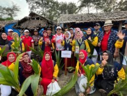 Bengkulu Pecahkan Rekor MURI, 10.000 Pohon Kelapa Hiasi Pantai Panjang