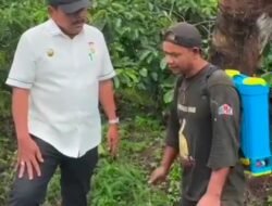 Wagub Mian Tinjau Jalan Simpang Air Lang – Desa Pelalo yang Hampir Mulus, Bujuk Petani Kopi Pakai Mobil Avanza