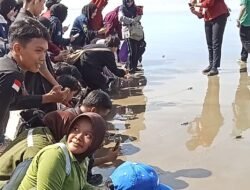Pemda Benteng Dukung Program Green Democracy, Puluhan Ekor Anak Penyu Di Lepas Pinggir Pantai